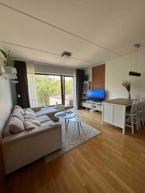 1-bedroom apartment near airport